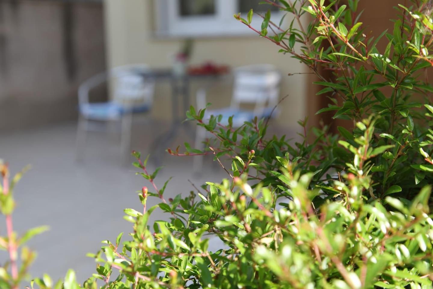 Thess1Home Pylaia Θεσσαλονίκη Εξωτερικό φωτογραφία